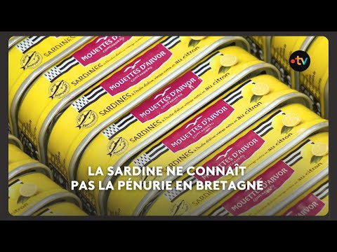 Douarnenez on film: sardine work, the 1924 strike and sailors’ memories