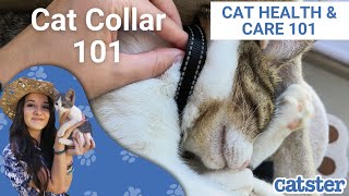 How tight should a cat's collar be?