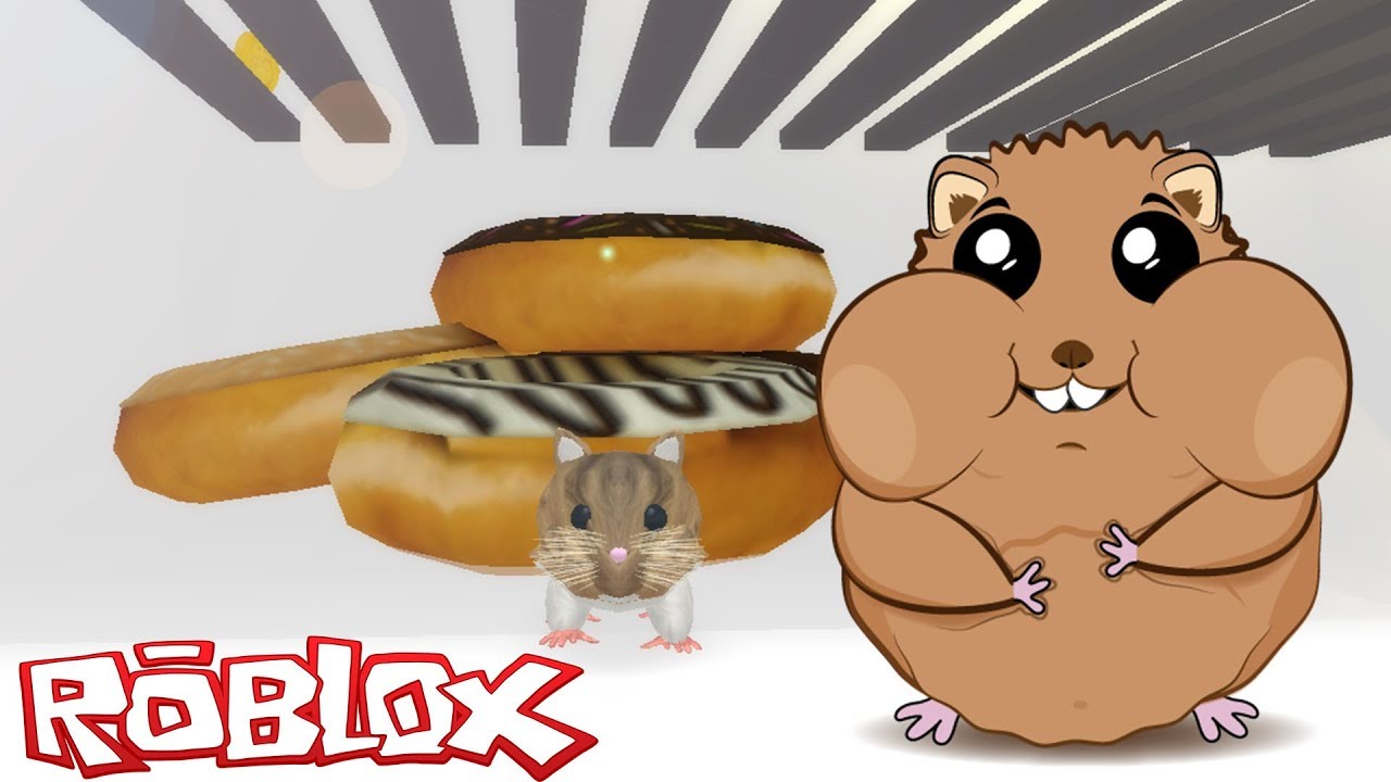 Roblox Hamster Simulator Games Play Roblox Free No Install - cutest game ever roblox hamster simulator wwonderwall gameplay