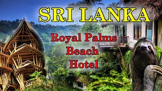 Royal Palms Beach Hotel. Лучший отель на Шри Ланке. Sri Lanka 2022.