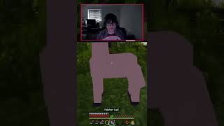 THIS HAS TO BE THE WORST POKEMON EVER!! #minecraftjava #minecraftminigames #minecraftmemes