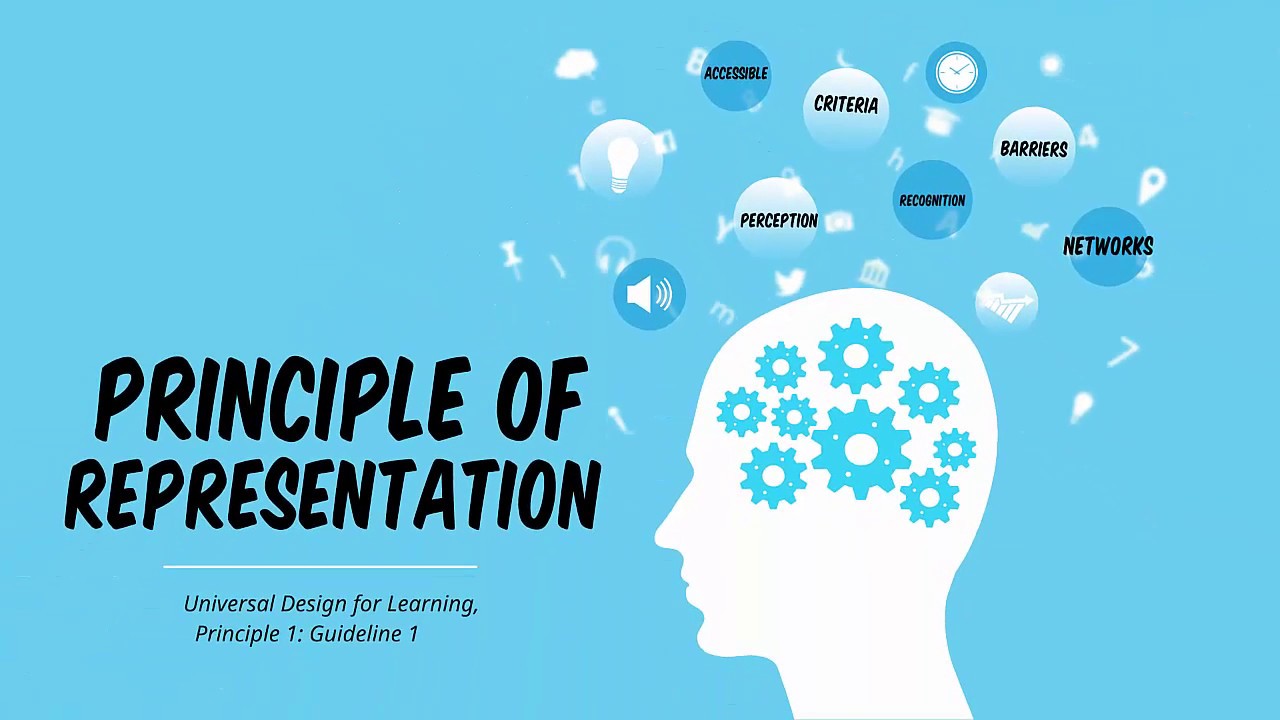 UDL Principle Of Representation Guideline 1 Perception YouTube