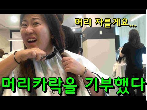 한국여행) 머리카락, 기부하겠습니다 (feat. 머리카락은 내게 사치다)