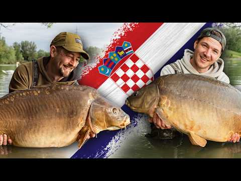Bites every second! Our wild start in Croatia | Wolfi & Jukke on Tour (Road Trip Part 1)
