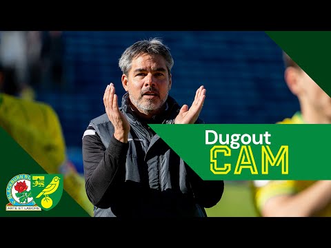 DUGOUT CAM 💺 | Blackburn Rovers vs Norwich City | The best reactions from the bench! 👊