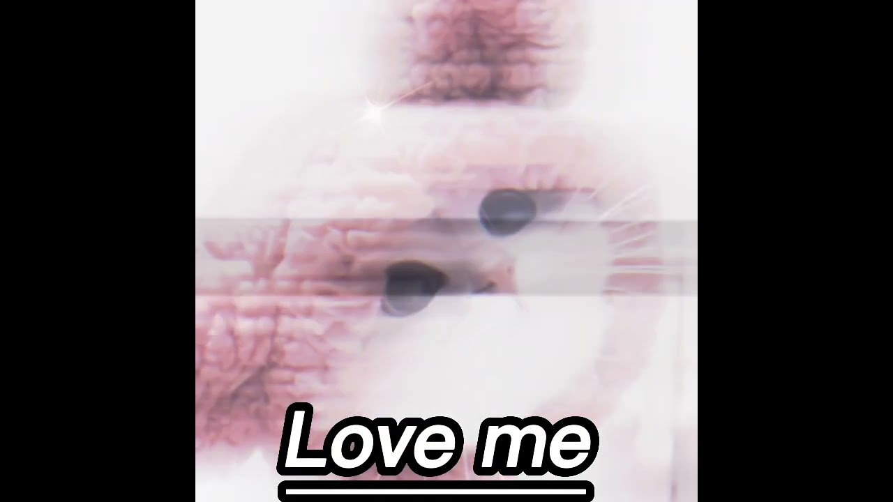 Love me