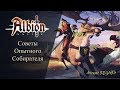 Albion online : Советы опытного собирателя