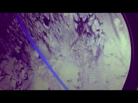 god dionysos-osiris on