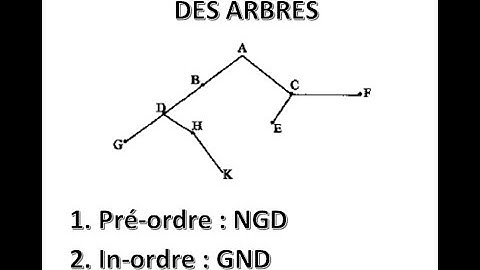 Algorithmes de défilement sur les Arbres (pré-ordre, in-ordre, post-ordre)
