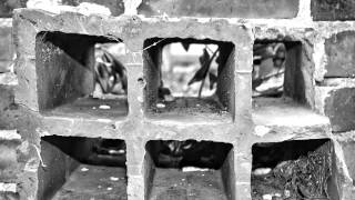 Urban Exploration South Carolina:  Lost forever