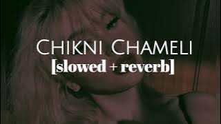 Chikni Chameli || slowed   reverb || Bhumika's beatzzz