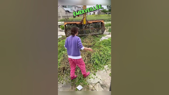 Ils découvrent des poissons cachés sous la terre ! La réaction de cette femme est adorable 🐟❤️