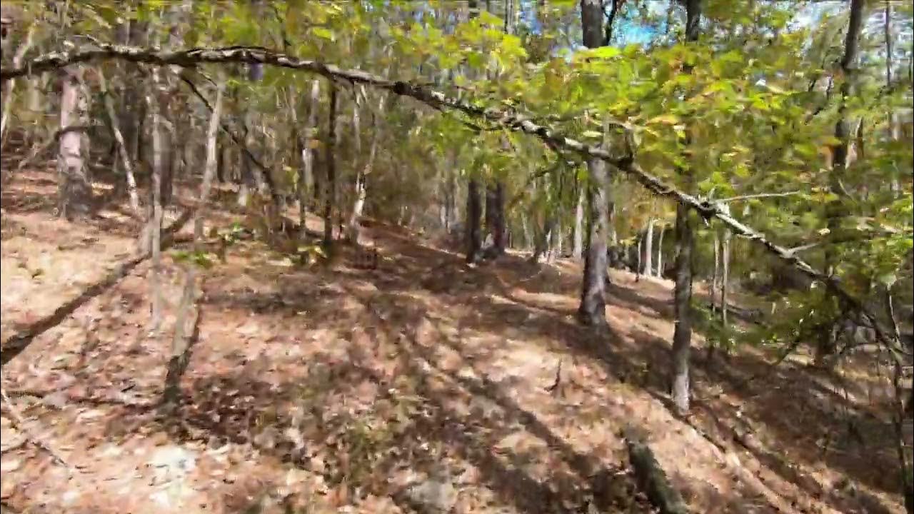 Lakeview Lodge TRail, Beavers Bend State Park, Oklahoma YouTube