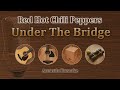 Under the bridge  red hot chili peppers acoustic karaoke