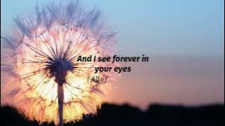Dandelions X Dandelions Full