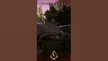 Flatline and R-301 combo couldn