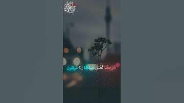 #تلاوة_خاشعة #شيخ_ياسر_الدوسري #القرآن_الكريم #تفاعلكم