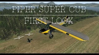 [X-Plane 11] Piper Super Cub at Allan Island