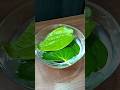 Matka Pan Lassi #asmr #youtubeshorts  | Calm Cook ASMR