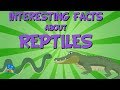 INTERESTING FACTS ABOUT REPTILES | Educational Video for Kids.
