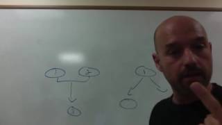 Argument Diagrams pt 2