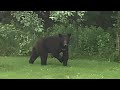6. Living in Harmony with Nature - Reflection to Celebrate UN Biodiversity Day 2025