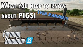 What you need to know about Pigs in Farming Simulator 22 screenshot 4