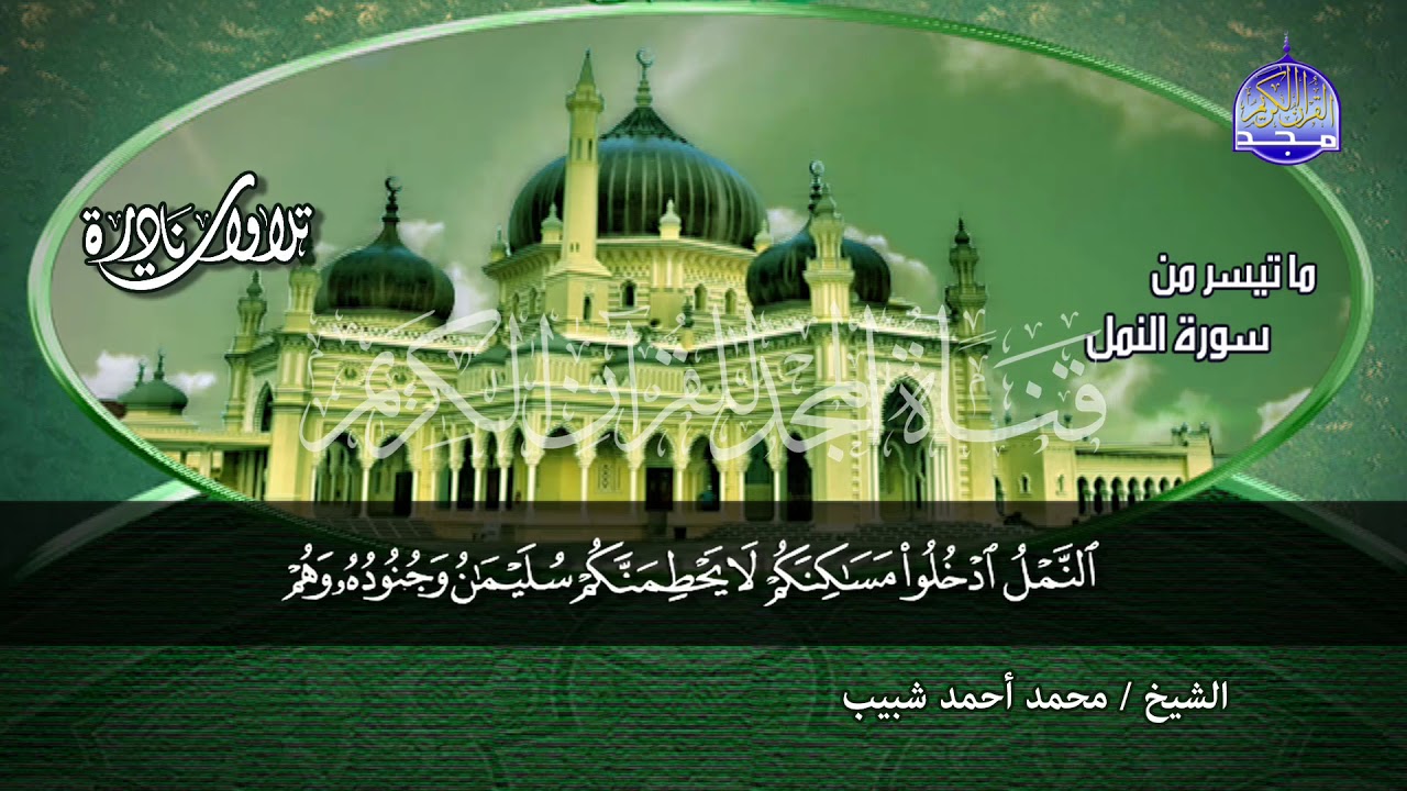 جديد المجد | رائعة سورة / النمل🌱 لقارئ النصر : محمد احمد شبيب 🌱 من نوادر المجد HD