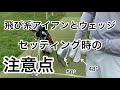 ウェッジの小ネタ　飛び系アイアンとウェッジセッティング時の注意点