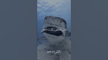 سورة القلم #quran #اكسبلور #المصحف #دويتو #foryou #duet #راحة_نفسية