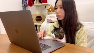 ついに猫が動画チェックするようになりました！🐈