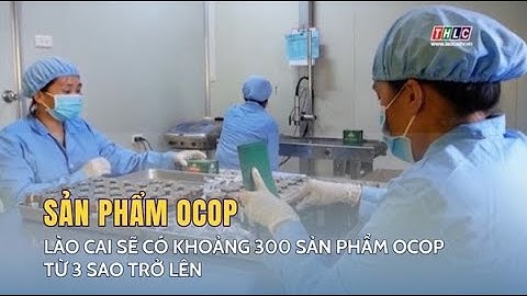 Lào Cai sẽ có khoảng 300 sản phẩm ocop từ 3 sao trở lên | THLC