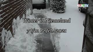 Winter 2021 In Nieuwland