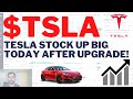 $TSLA TESLA STOCK UP BIG TODAY AFTER UPGRADE! Tesla Stock Analysis | Live Wellthy Stocks