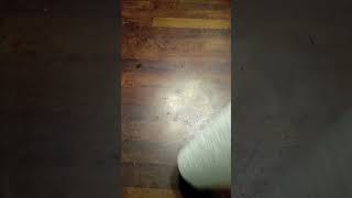 insane paper towels flip