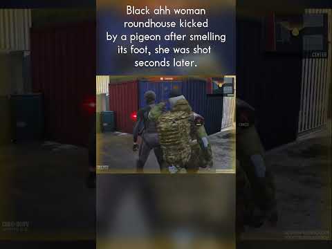Footage of pigeon roundhouse kicking a black woman.