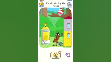 dop5 level 211 // finish painting the house