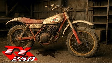 Restoration Of An Abandoned Yamaha TY 250 - Genuine Barn Find!