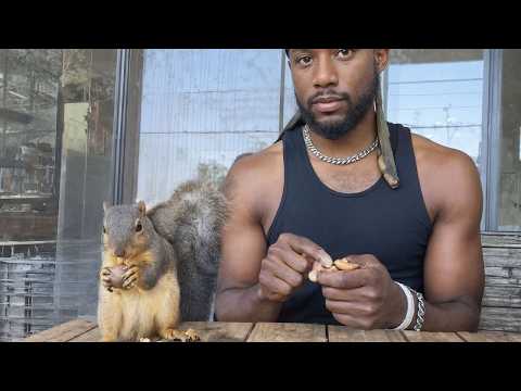 We Rescued a Squirrel Named Richard—Now He's Family