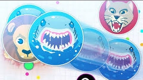 Agar.io | Mini Training Gameplay | TrickSplit