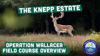 Opwall Wallacea - Knepp Field Course