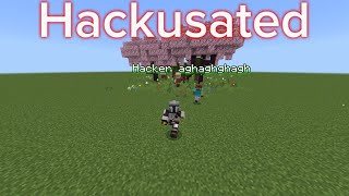 When You Get Hackusated By Noobs