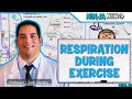 Respiratory | Respiration During Exercise