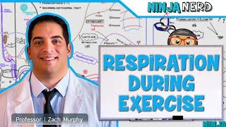 Respiratory | Respiration During Exercise