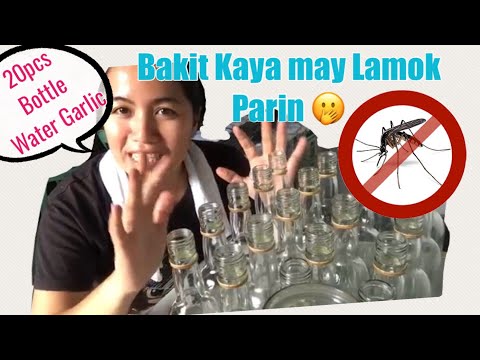 Video: Mga Kagiliw-giliw Na Katotohanan Tungkol Sa Mga Lamok