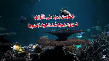#تلاوة_خاشعة #سورةالإنسان_القارئ محمد جمال أبوسريع