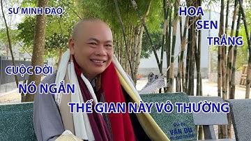 CUỘC ĐỜI NÓ NGẮN THẾ GIAN NÀY VÔ THƯỜNG | SƯ MINH ĐẠO