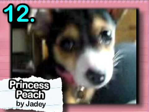 Ultra Kawaii - 67 Viewer Pets