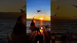 Pretty Little Baby  #englishmusic #music #fridayvibe #musicislife #lyrics #funfridays #aesthetic
