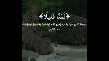 سورة آل عمران الآية ١٩٨ - ٢٠٠ القارئ أبو بكو الشاطري